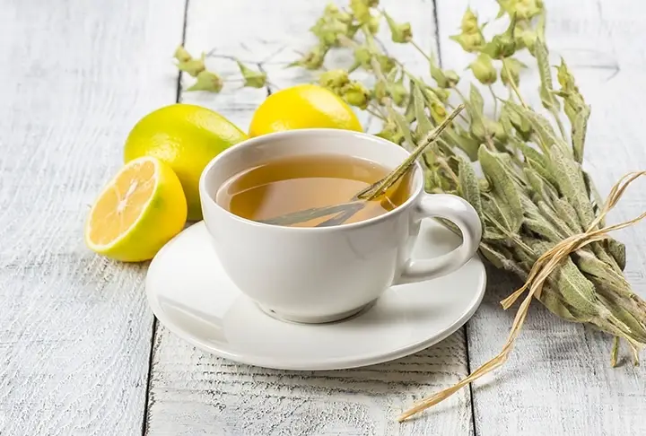 Çay & Bitki Çayları